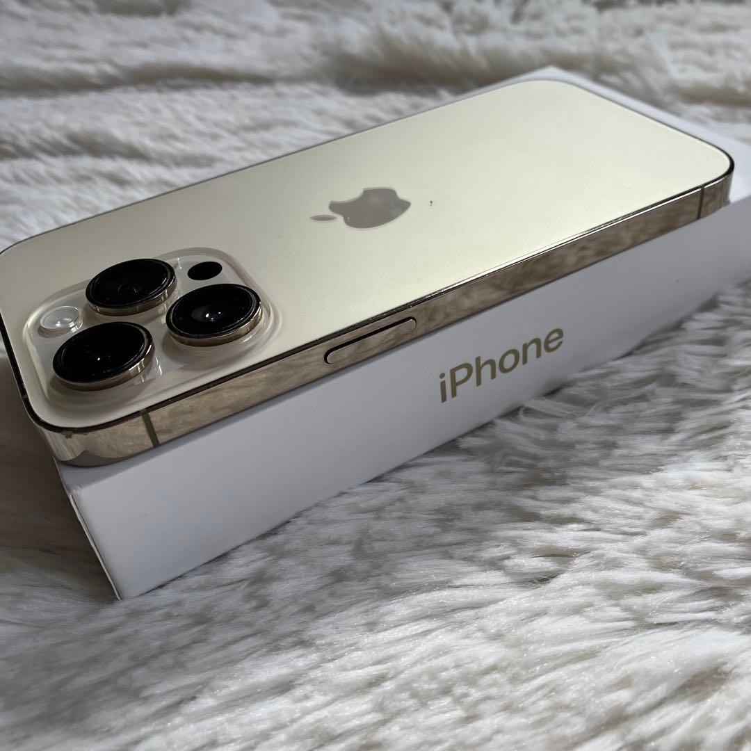 【2/30販売終了】iPhone 14 Pro 256GB 【外観美品】