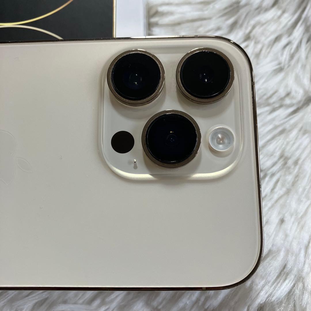 【2/30販売終了】iPhone 14 Pro 256GB 【外観美品】