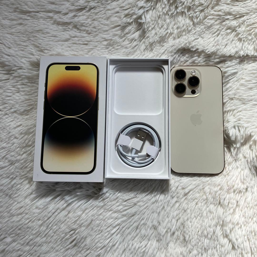 【2/30販売終了】iPhone 14 Pro 256GB 【外観美品】