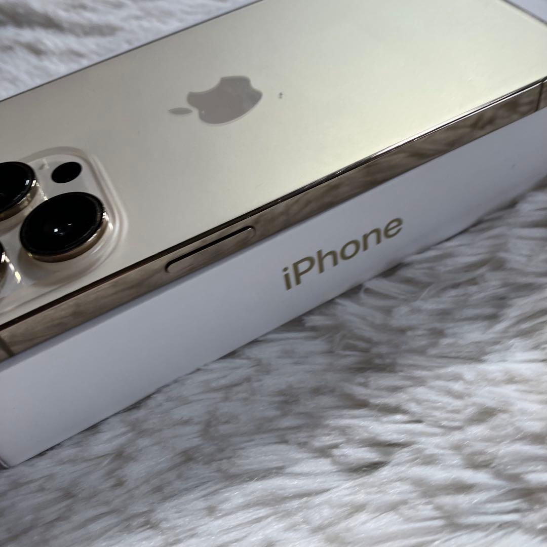 【2/30販売終了】iPhone 14 Pro 256GB 【外観美品】