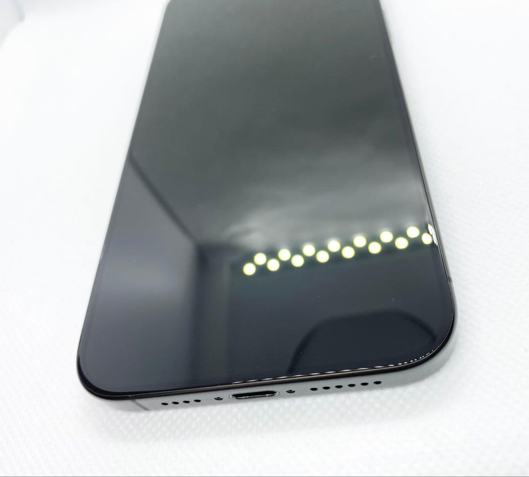 iPhone 15 Pro Max 256GB バッテリー容量100%