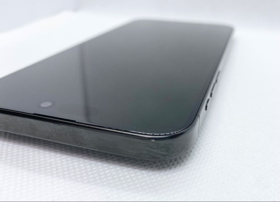iPhone 15 Pro Max 256GB バッテリー容量100%