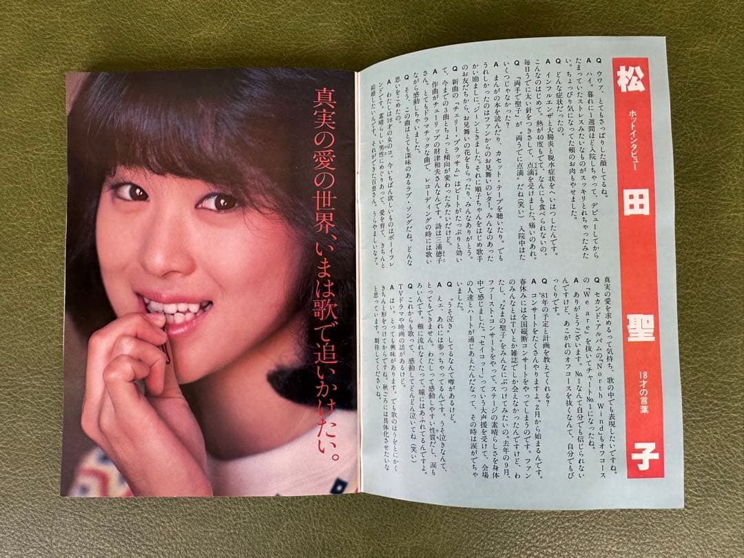 昭和アイドル　松田聖子　河合奈保子　三浦順子のブックなど　昭和レトロ　激レア