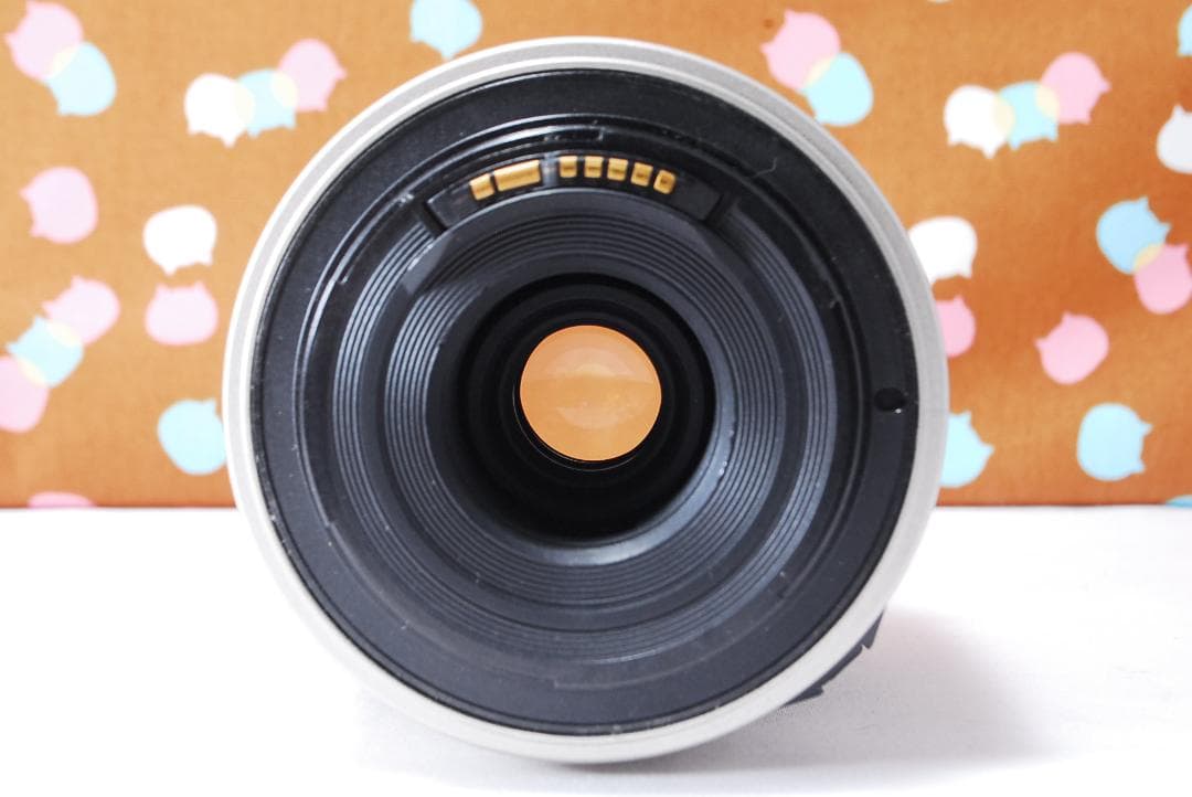 ✨ストロボセット✨Canon Kiss Digital N レンズセット