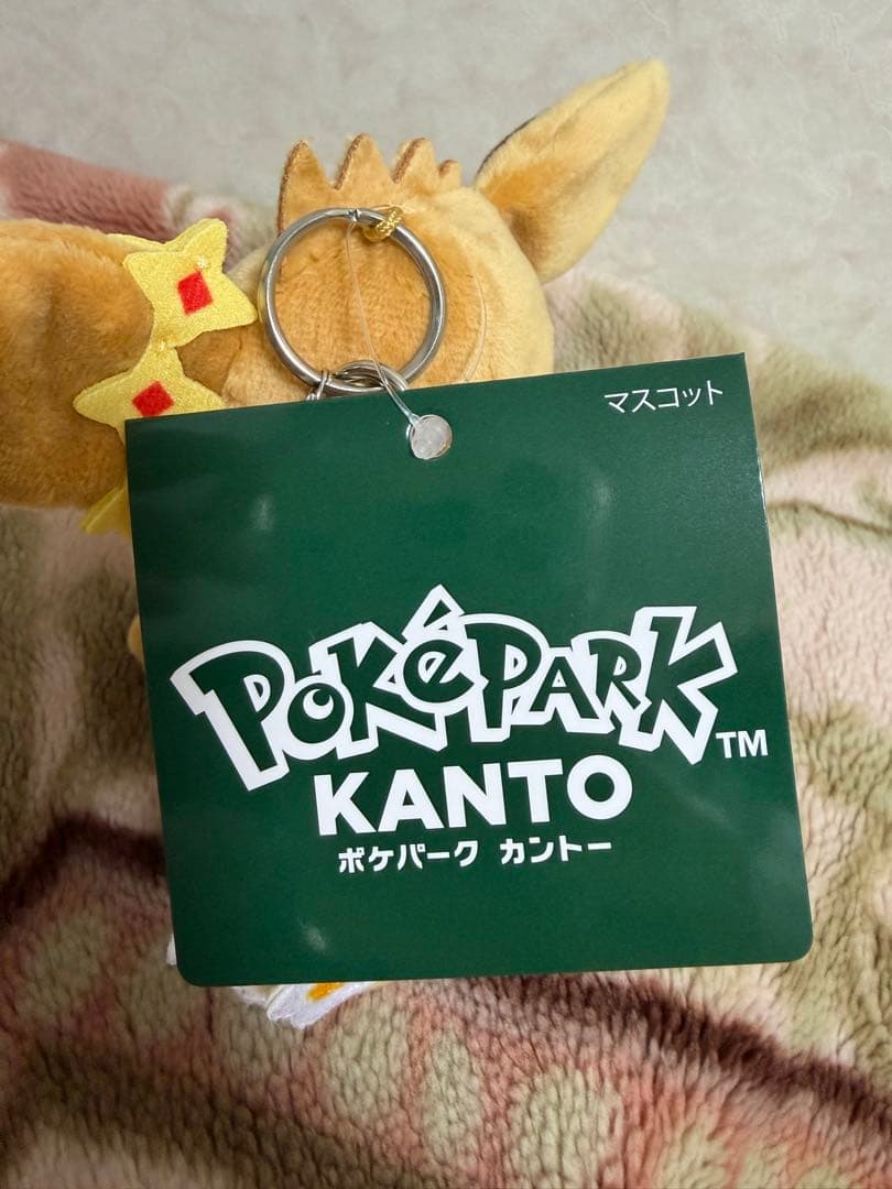 ポケパーク ピカチュウ イーブイ カーニバル衣装 ぬいぐるみ キーホルダー