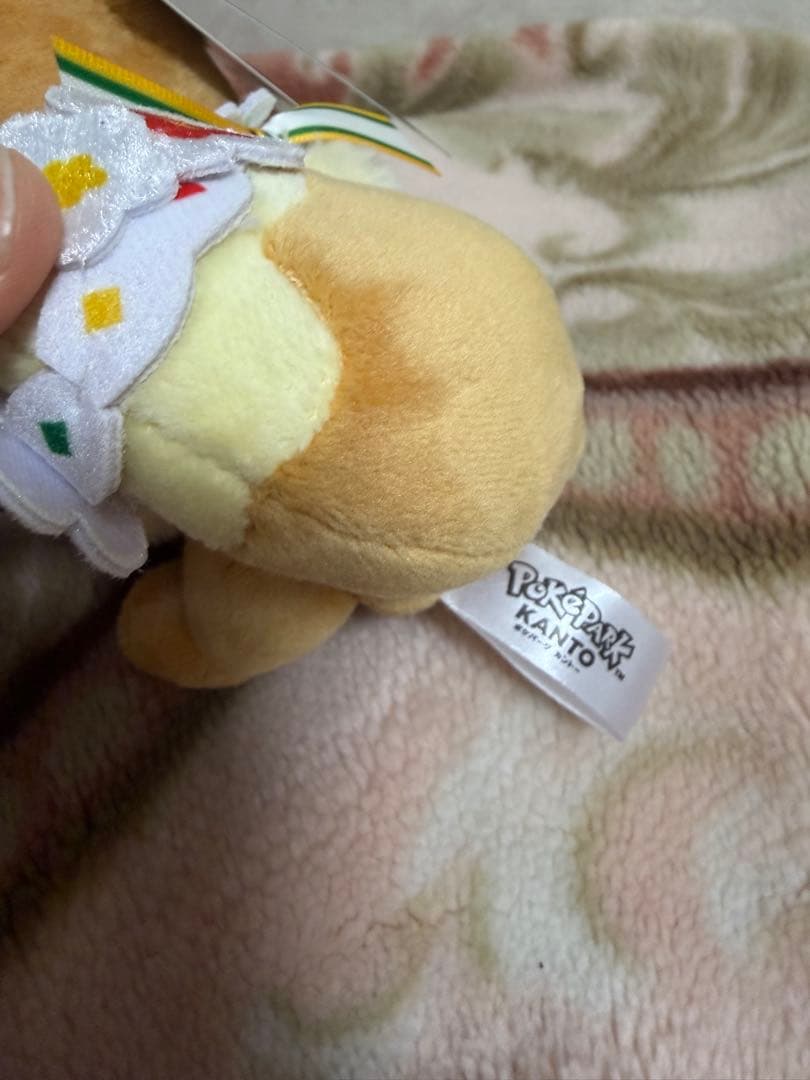 ポケパーク ピカチュウ イーブイ カーニバル衣装 ぬいぐるみ キーホルダー