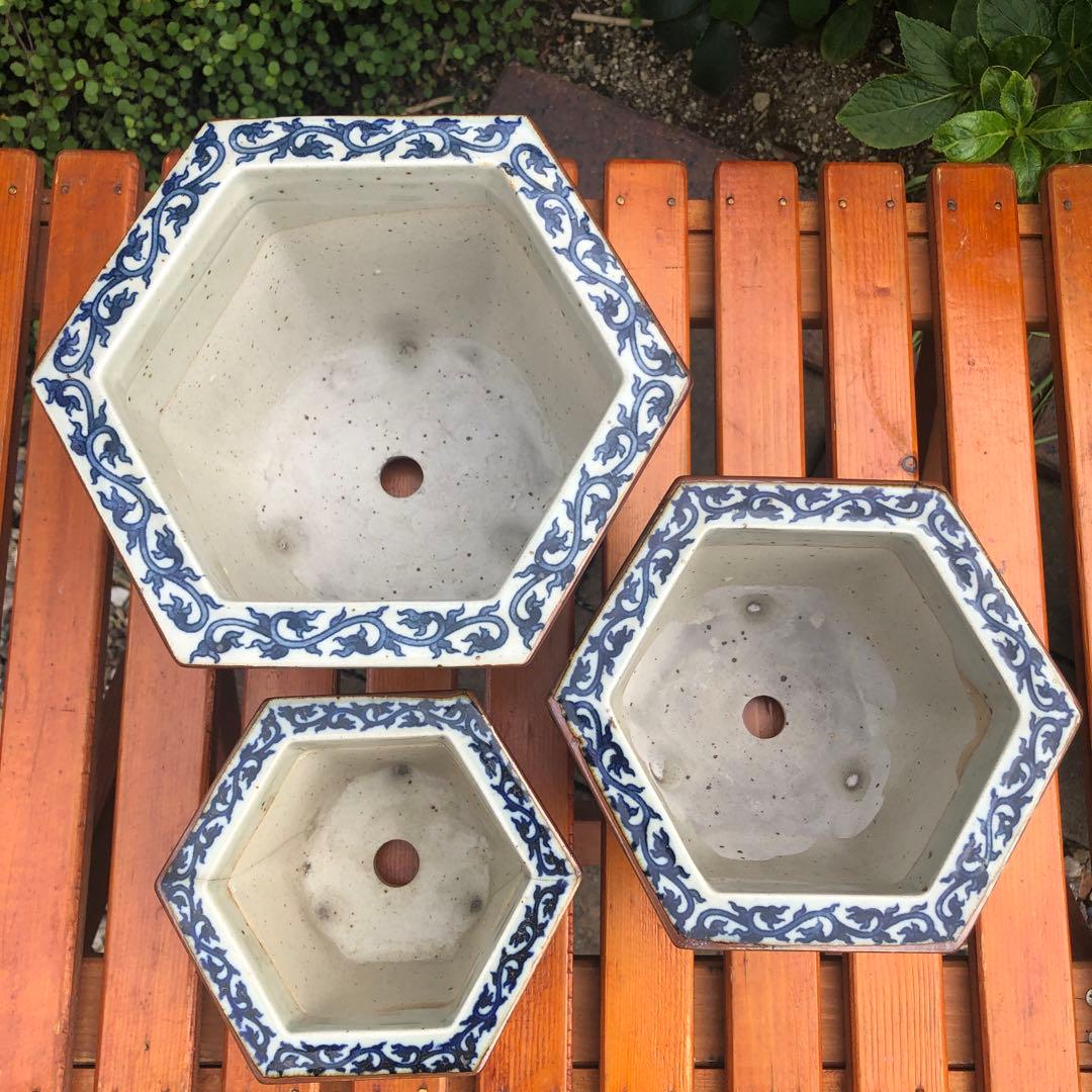 盆栽鉢　菊　唐草　八角形　陶器製　植木鉢 3個セット