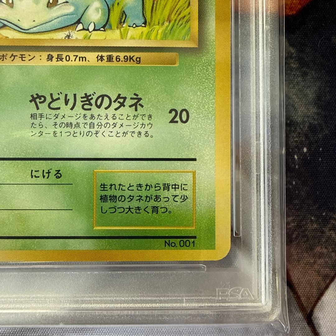【PSA8/ARS9】旧裏 フシギダネ エリカのフシギバナ マーク無し ポケカ
