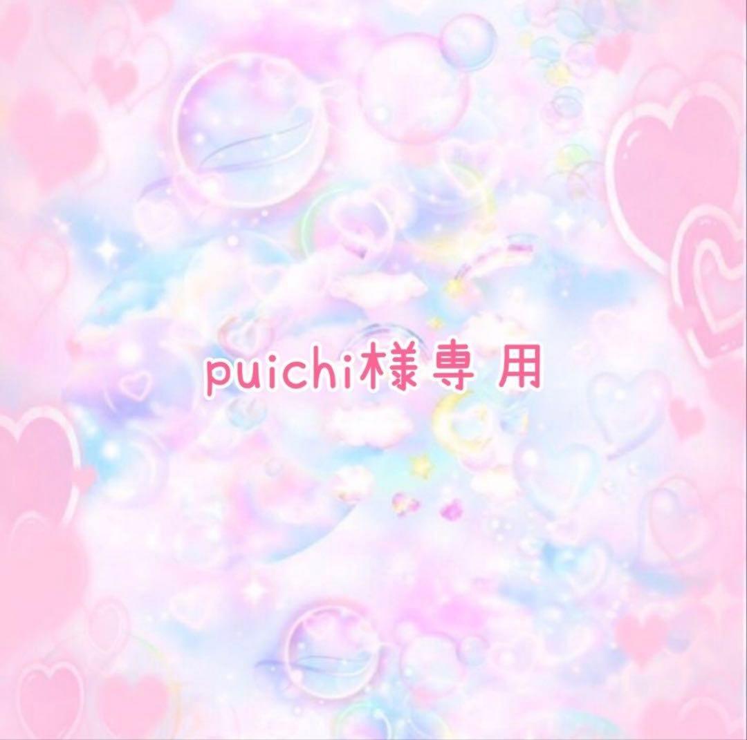 皿・プレート puichi