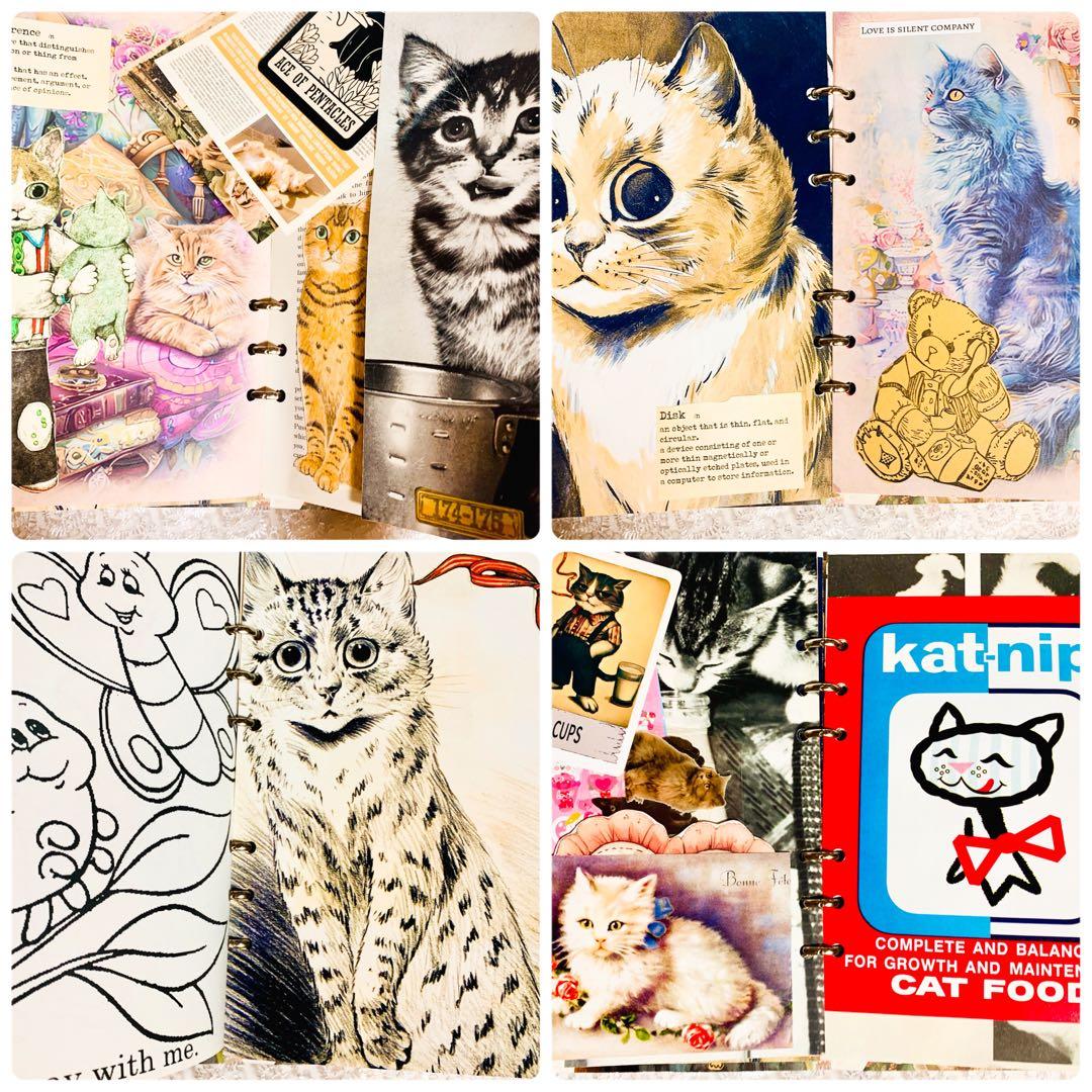 黒猫カエル11999円5%オフ〔5月2日までお取り置きOK〕