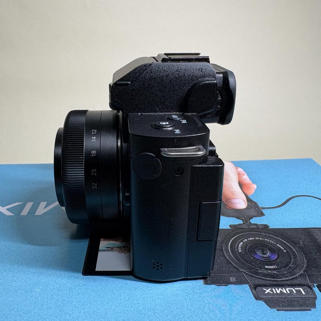 【美品】LUMIX DC-G100V