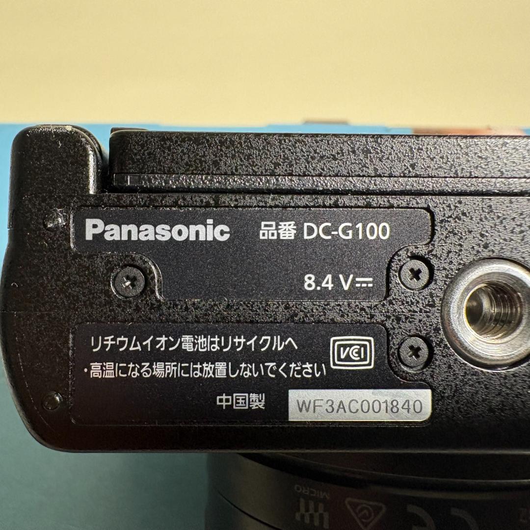 【美品】LUMIX DC-G100V
