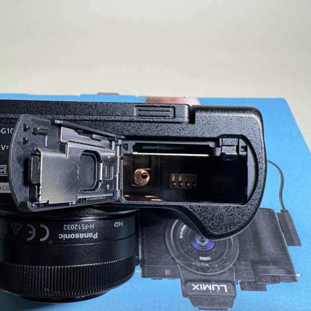 【美品】LUMIX DC-G100V