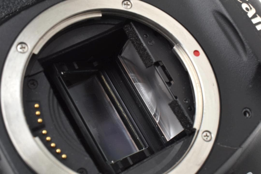 CANON キャノン EOS 5D MarkII＋EF 28-80mm カメラ