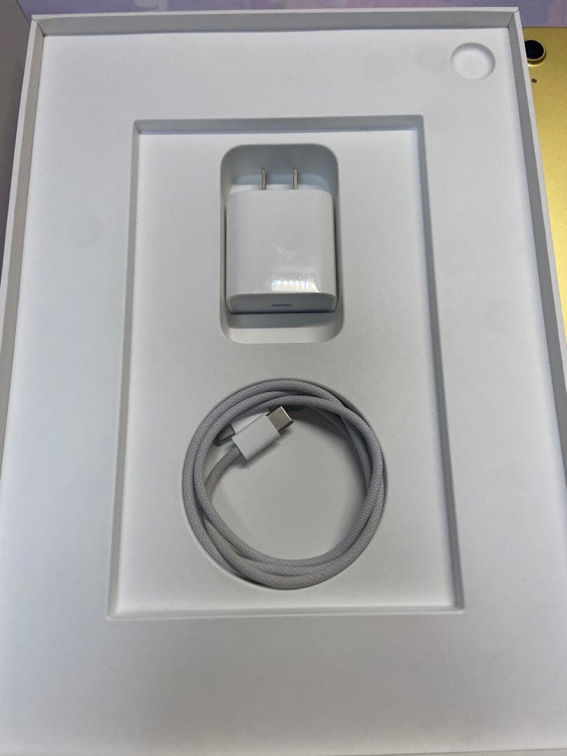 Apple iPad 10世代Wi-Fi モデル256GB イエロー