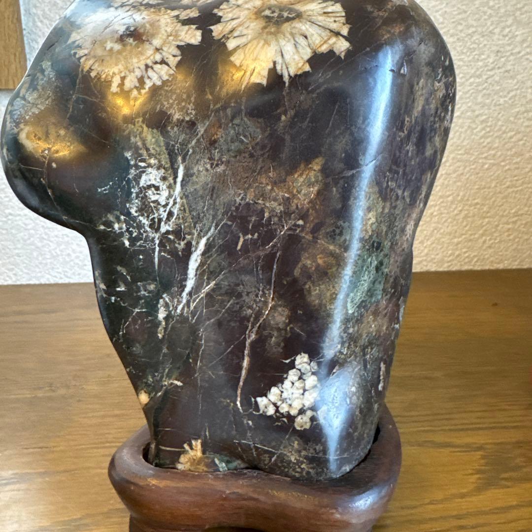 菊花石　鑑賞石　岐阜　木製台座付