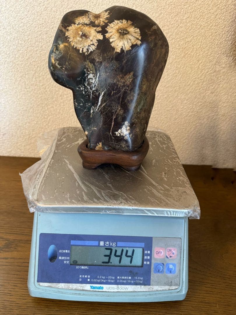 菊花石　鑑賞石　岐阜　木製台座付