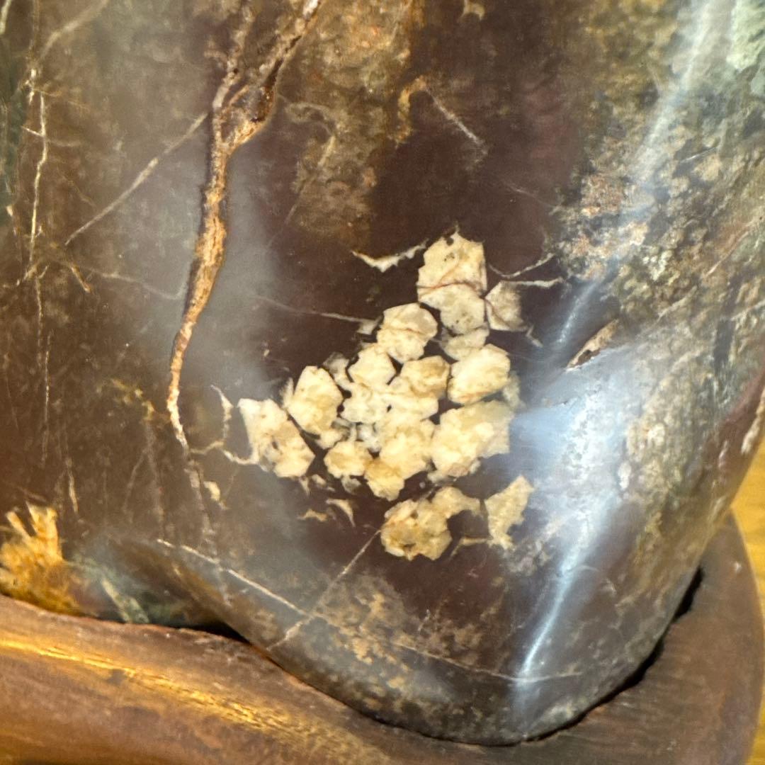 菊花石　鑑賞石　岐阜　木製台座付