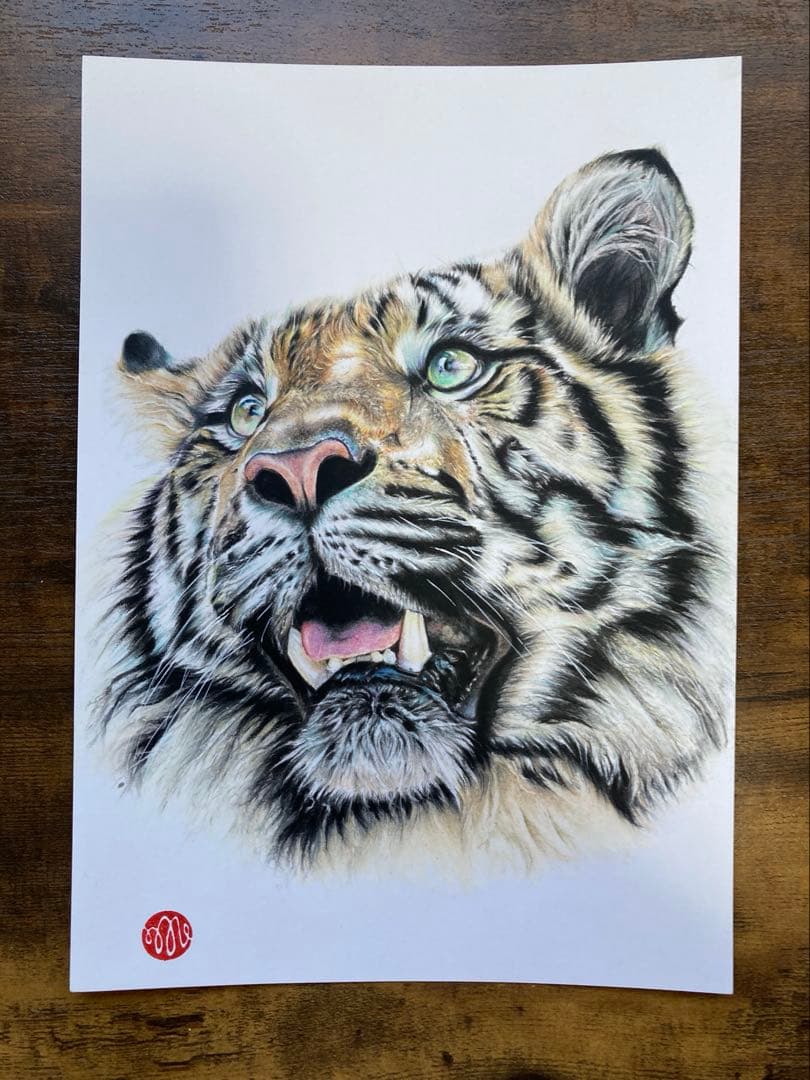 色鉛筆画 トラ
