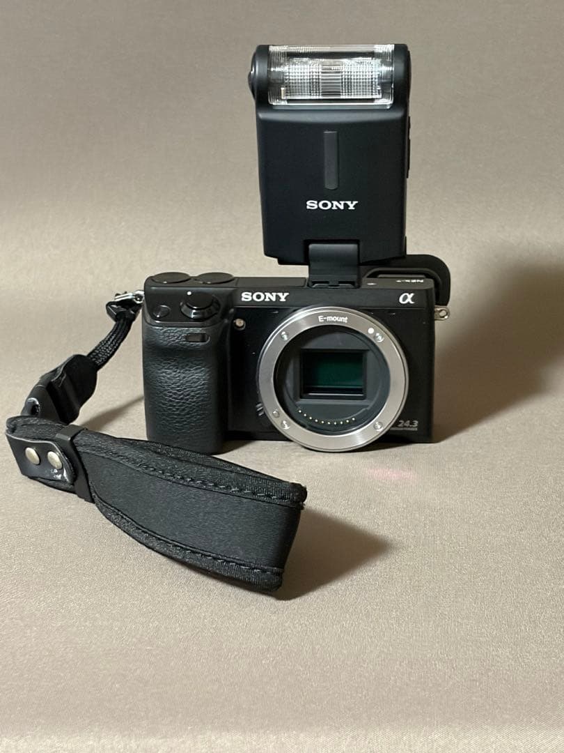 伝説の名器　SONY NEX7 Flash付き