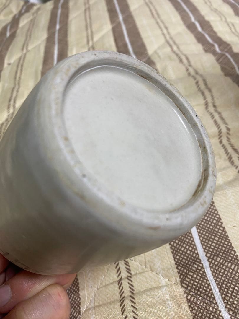 コンプラ瓶 酒瓶 波佐見焼 時代物