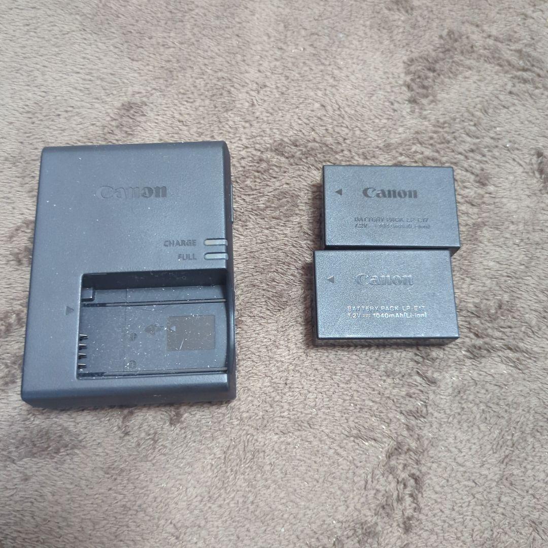 N*a様 Canon EOS R100