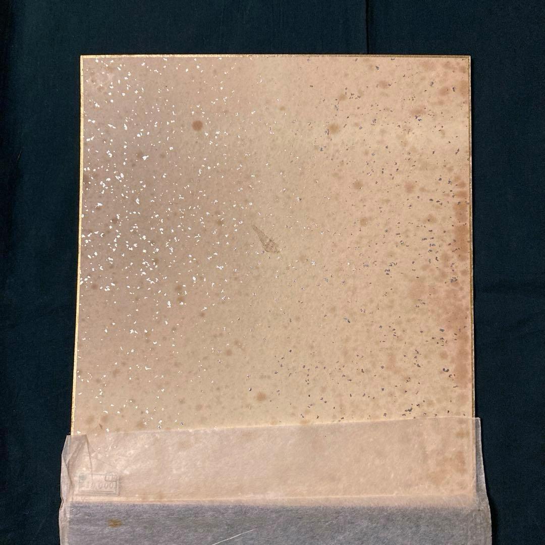 武者小路実篤 實篤 直筆 肉筆 画賛色紙 額装 骨董品 美術品 コレクション