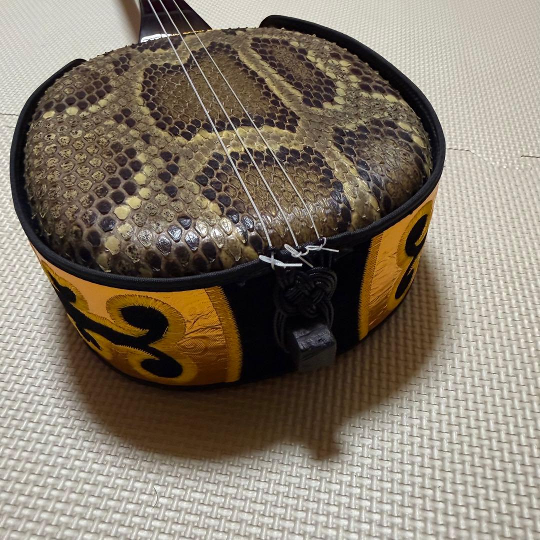 美品 沖縄 琉球 三線 ケース付 伝統楽器