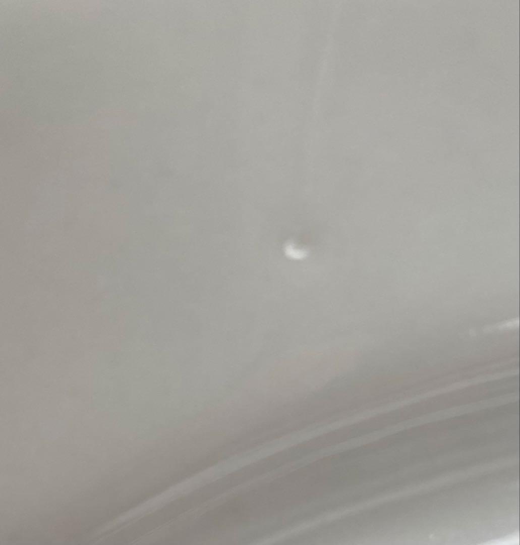 サタルニア　チポリ　オーバル28cm ３枚