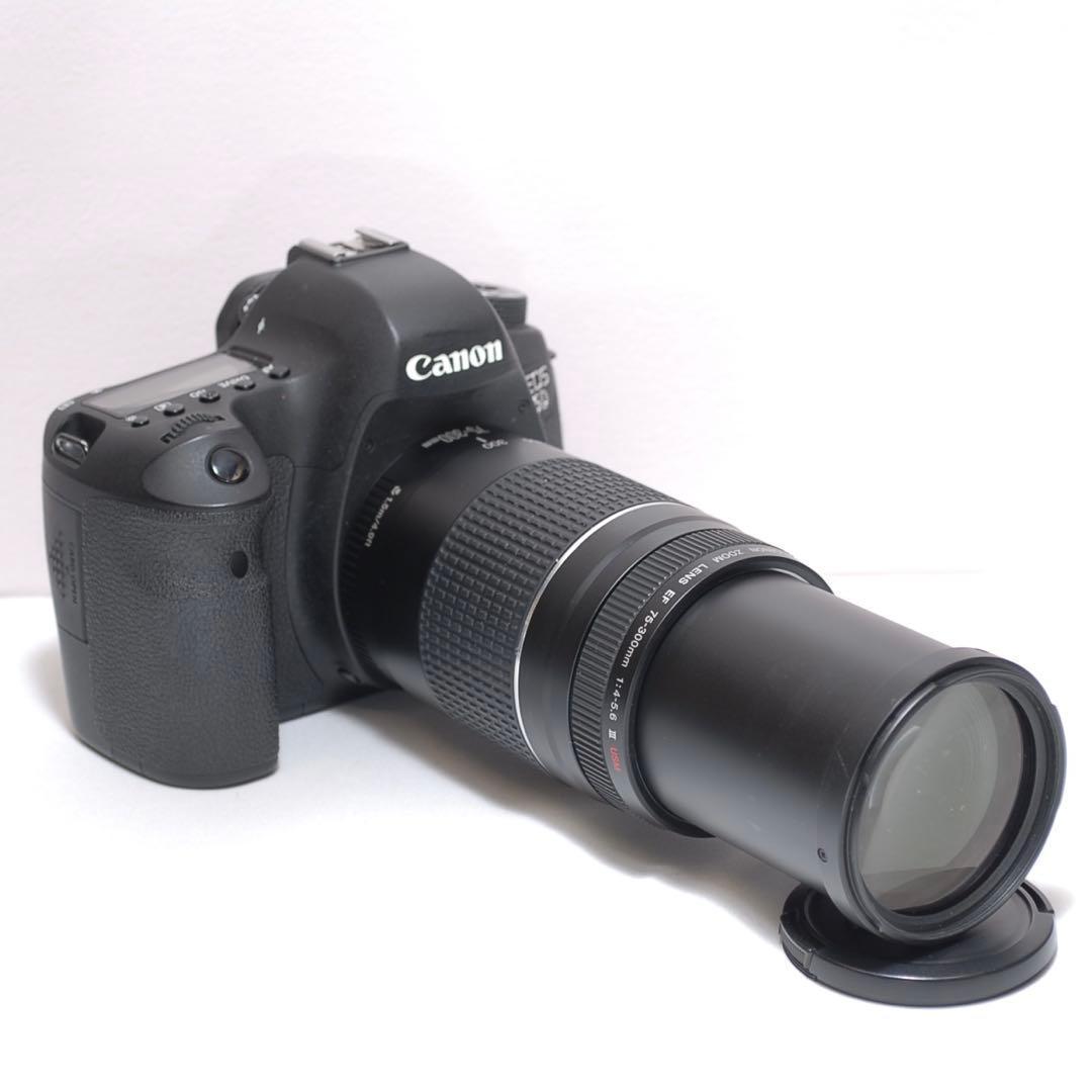 スポーツ観戦におすすめ✨Canon EOS 6D✨ダブルレンズ✨高速連写機能✨
