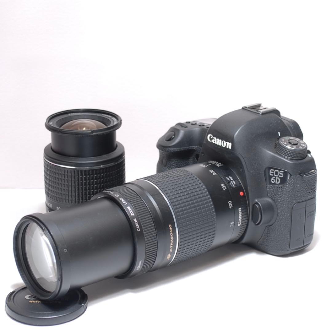 スポーツ観戦におすすめ✨Canon EOS 6D✨ダブルレンズ✨高速連写機能✨