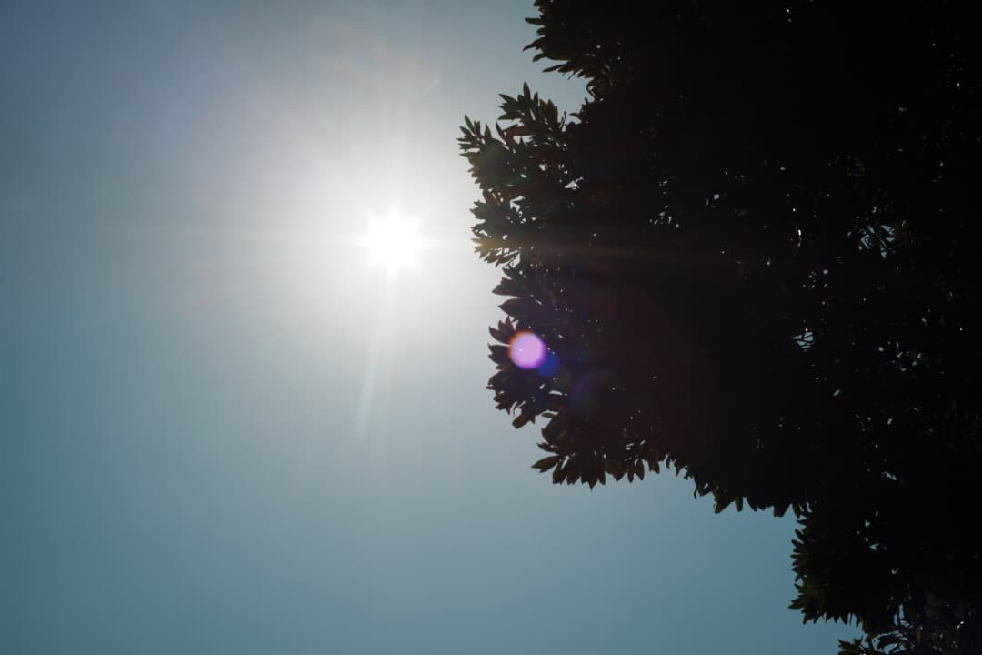 【美品】動作◎ Canon FD 50mm F1.4 S.S.C 809