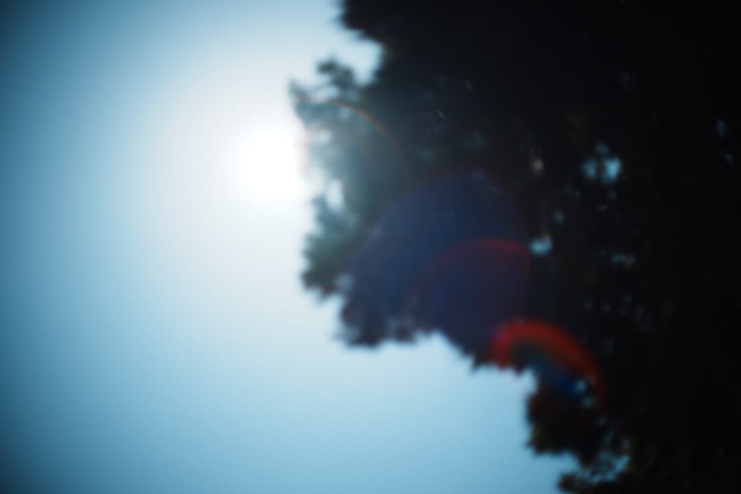 【美品】動作◎ Canon FD 50mm F1.4 S.S.C 809