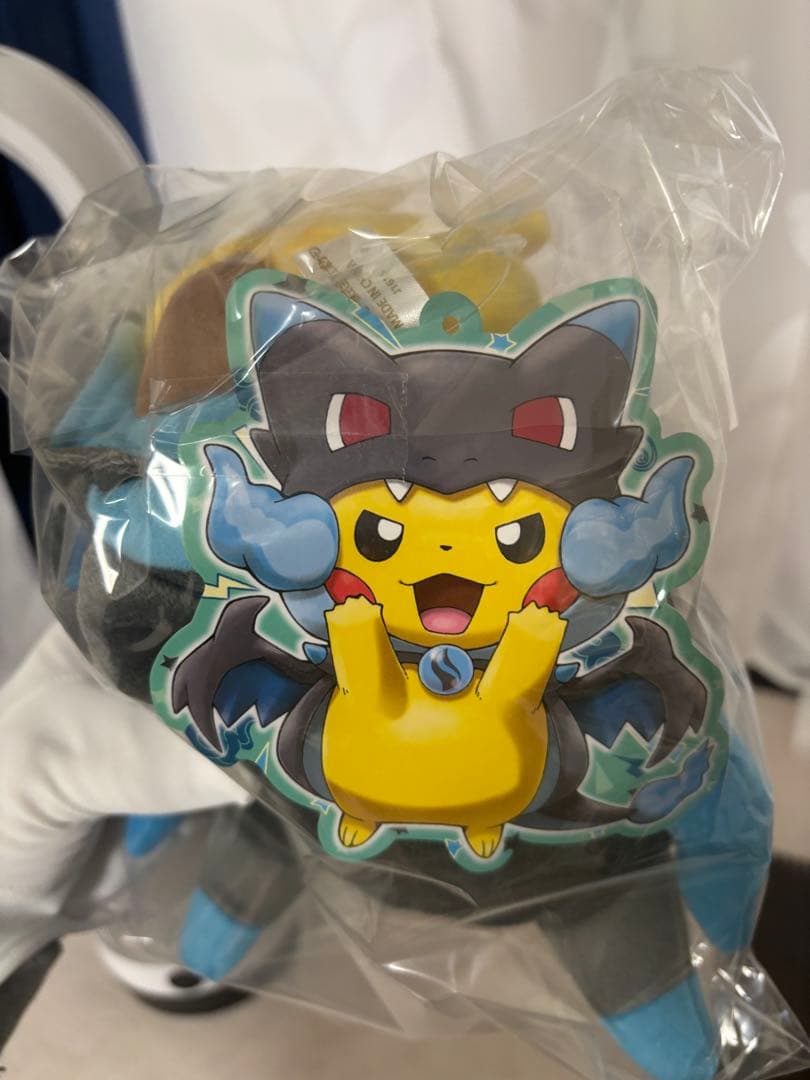 ポンチョを着たピカチュウ