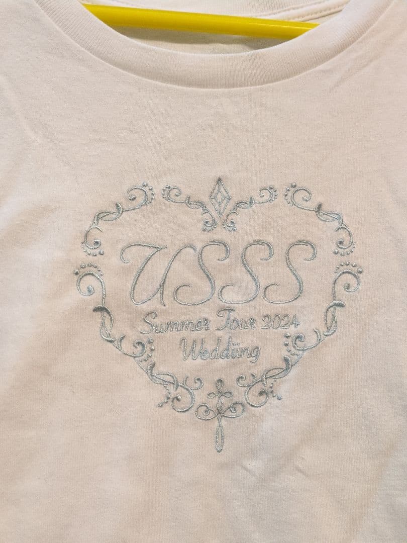 浦島坂田船 Tシャツ　うらたぬき　SENRA 法被　ロンT　センラ KANGOL