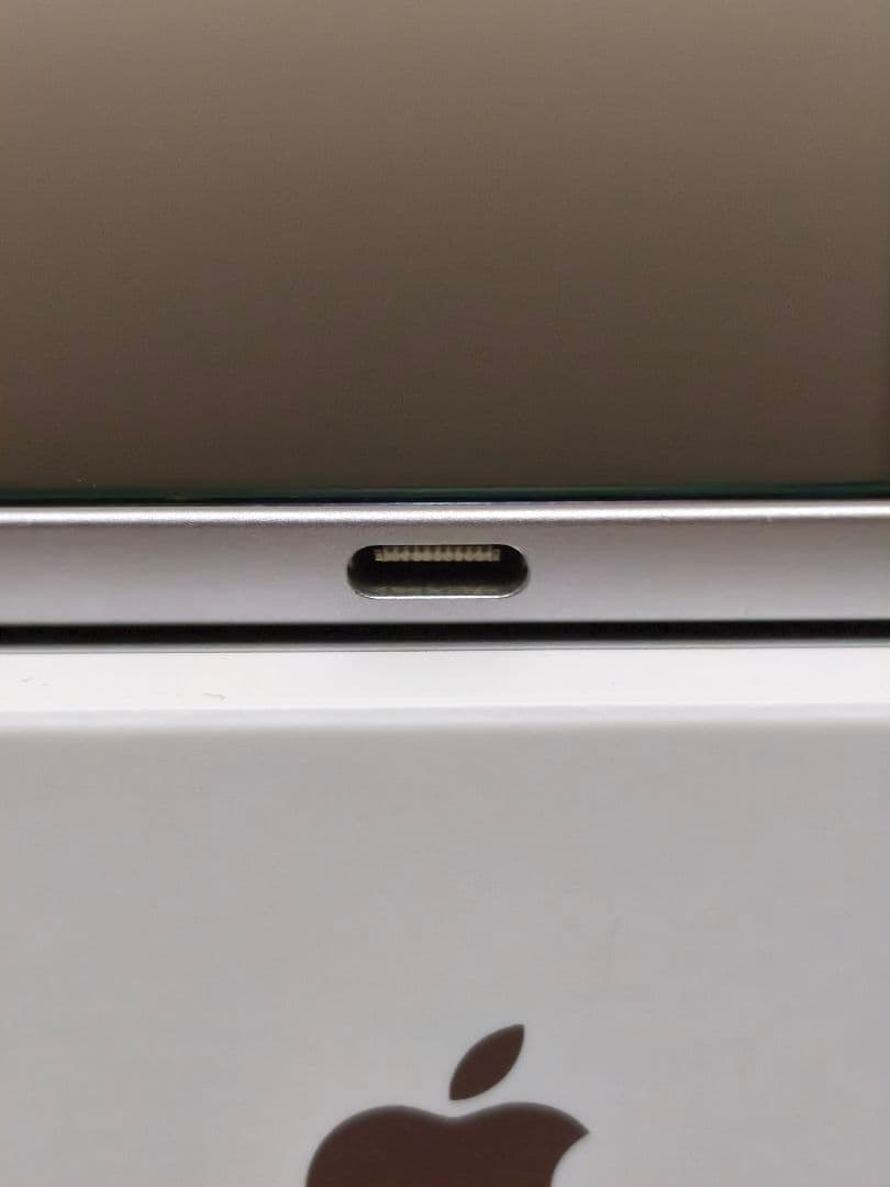 ホ*ン様 【ジャンク・美品】iPad Pro 12.9 第4世代 256GB シ