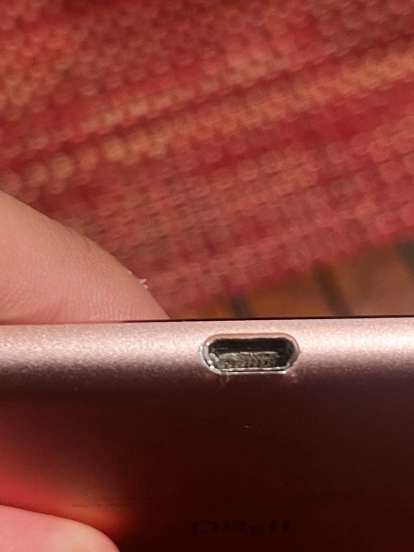 iPad Pro ジャンク