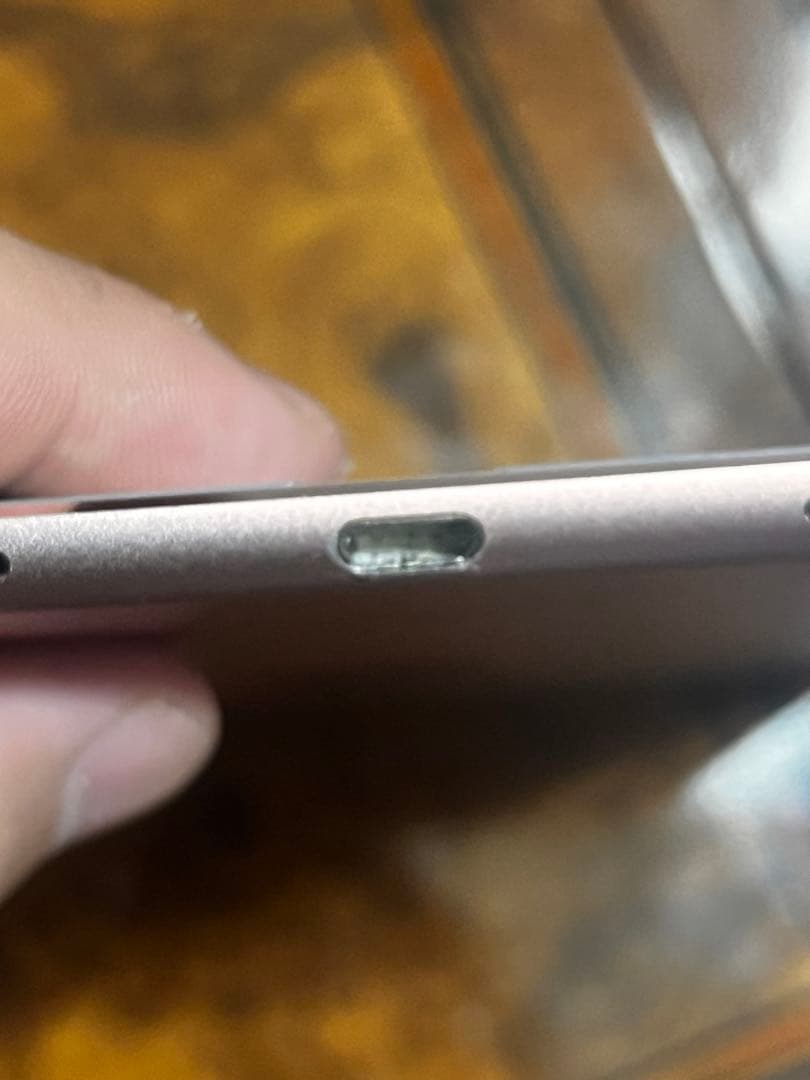 iPad Pro ジャンク