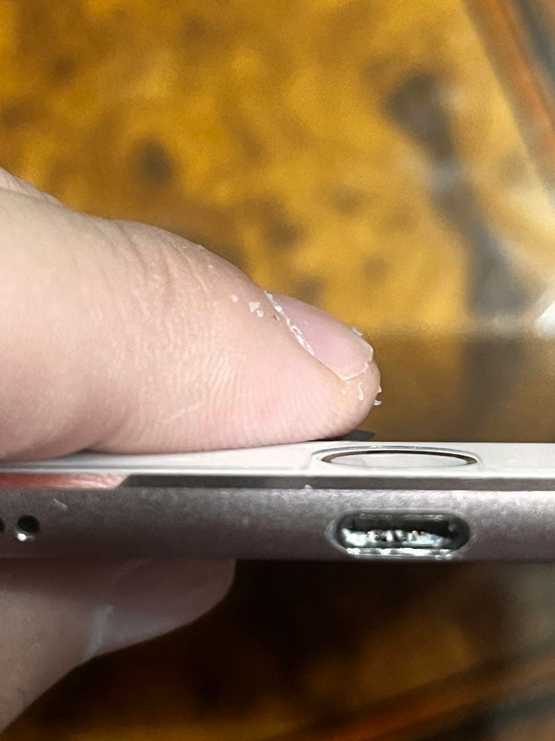 iPad Pro ジャンク