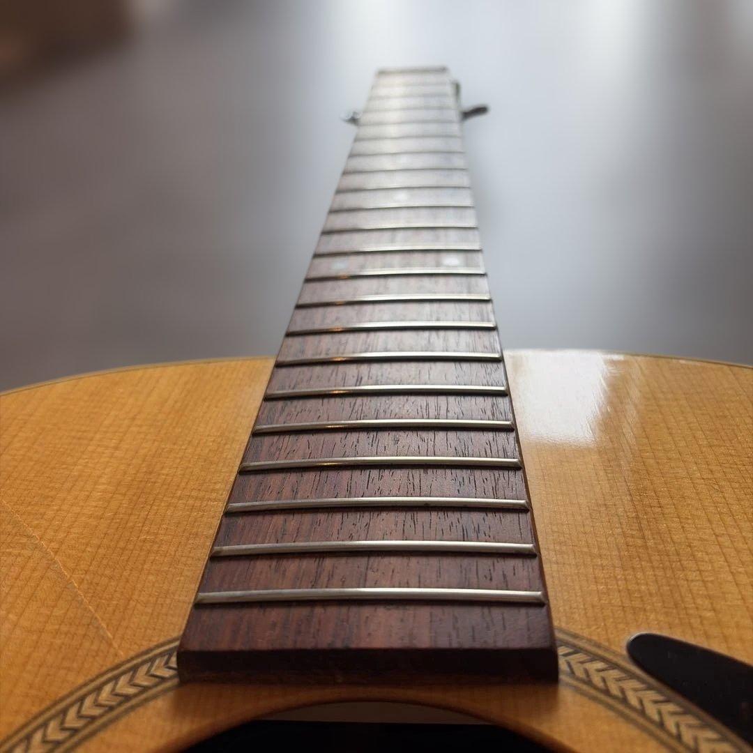 12弦ギター カナダ シーガル Seagull Guitars