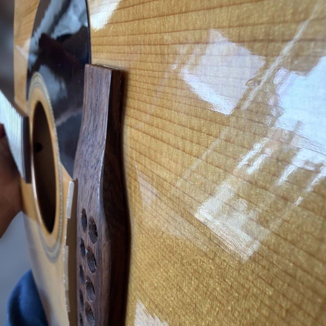 12弦ギター カナダ シーガル Seagull Guitars