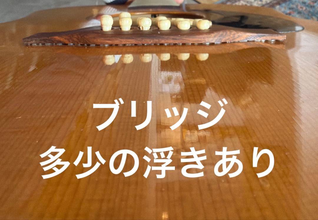 12弦ギター カナダ シーガル Seagull Guitars