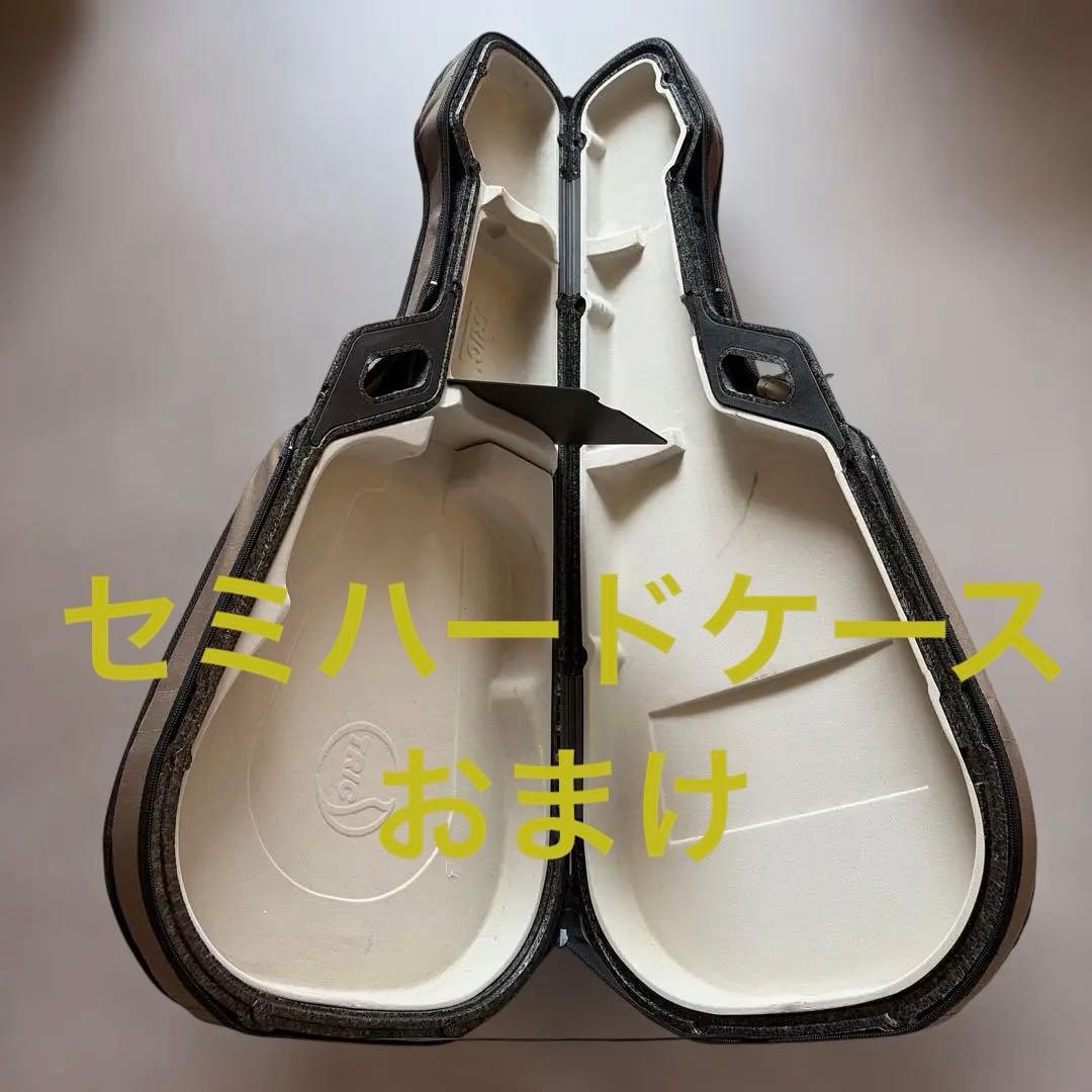 12弦ギター カナダ シーガル Seagull Guitars