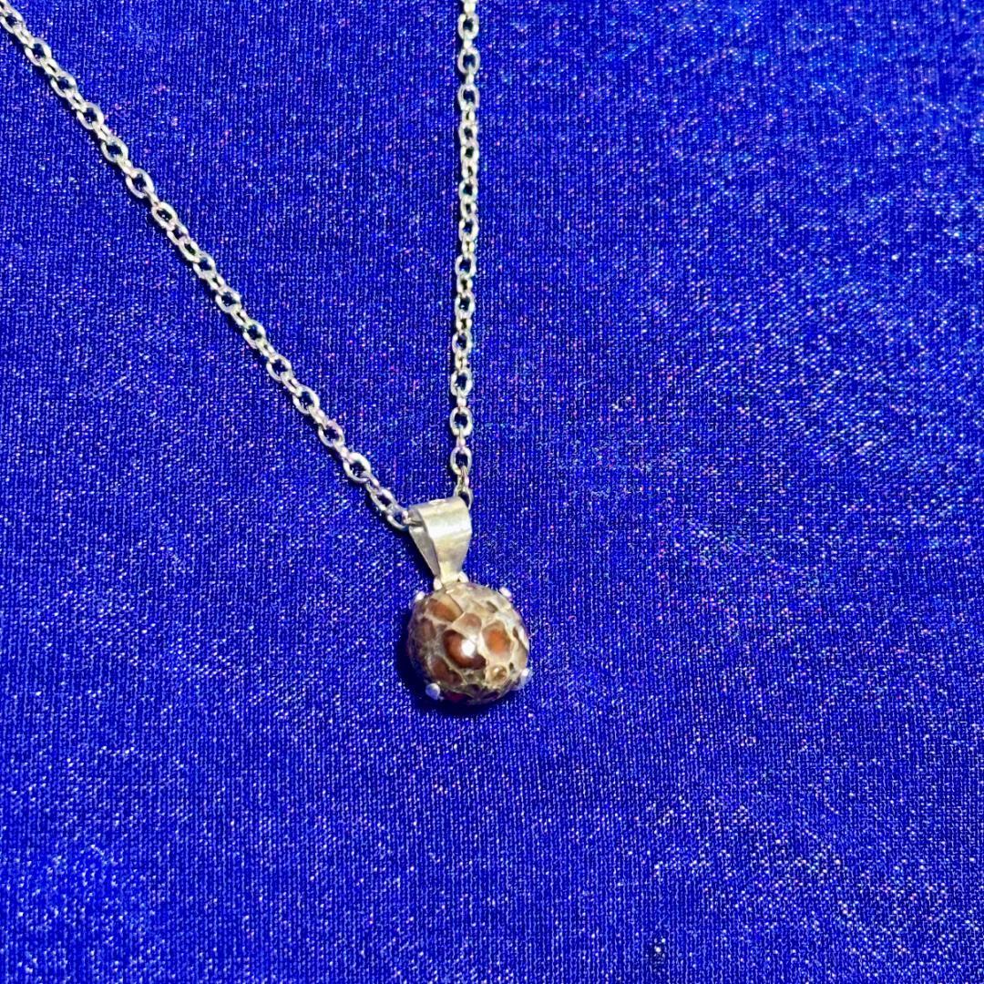 【希少宝石】恐竜の骨「ダイナソーボーン」ネックレス｜ユニセックス