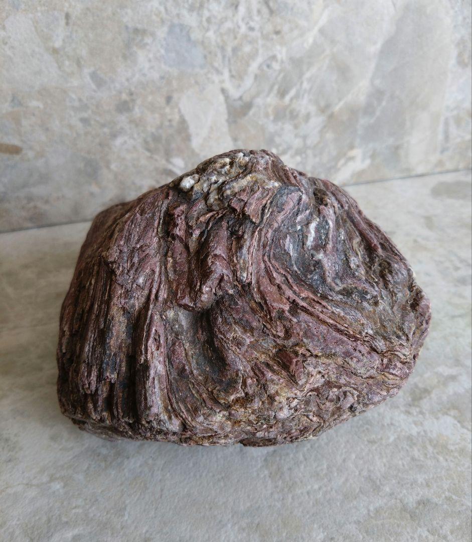 表情がいいね、石ころ♪㉓　石　石ころ　天然石　自然石　水石　鑑賞石　珪化木