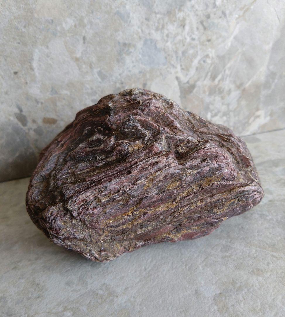 表情がいいね、石ころ♪㉓　石　石ころ　天然石　自然石　水石　鑑賞石　珪化木