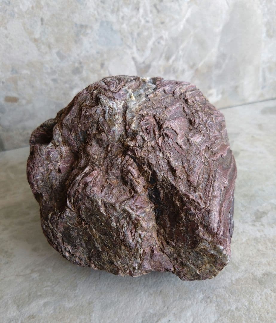 表情がいいね、石ころ♪㉓　石　石ころ　天然石　自然石　水石　鑑賞石　珪化木