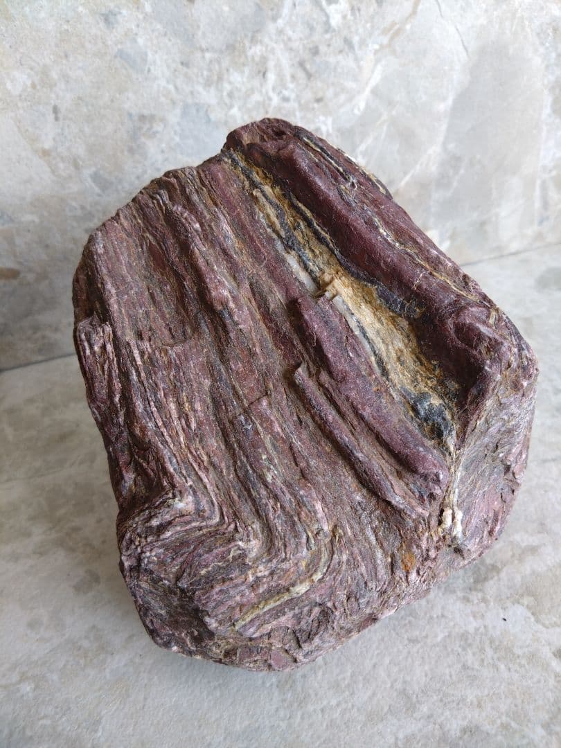 表情がいいね、石ころ♪㉓　石　石ころ　天然石　自然石　水石　鑑賞石　珪化木