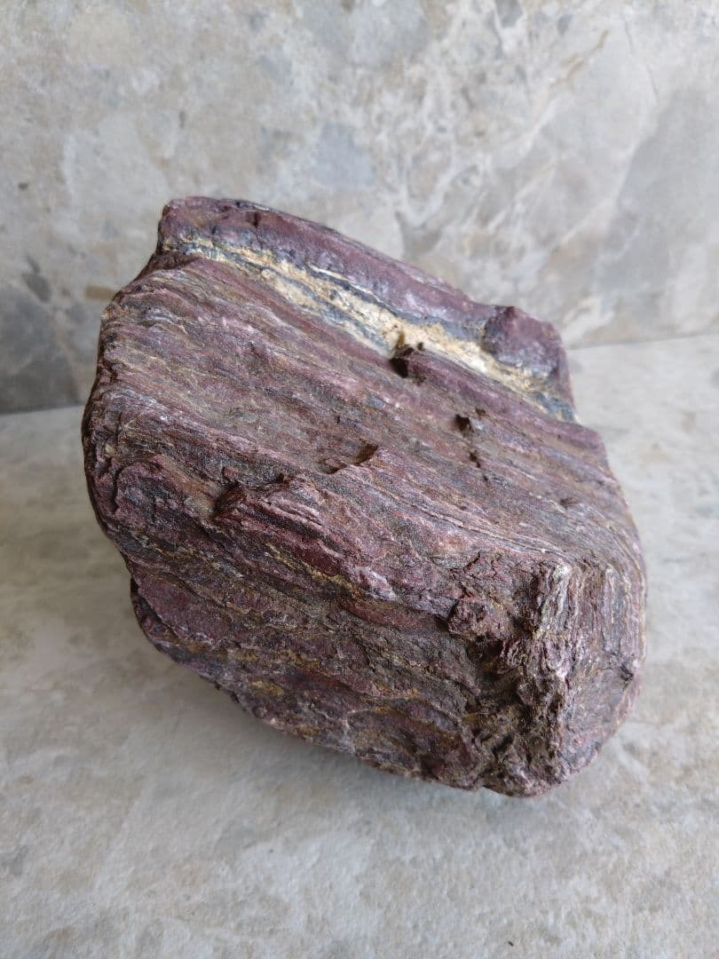 表情がいいね、石ころ♪㉓　石　石ころ　天然石　自然石　水石　鑑賞石　珪化木