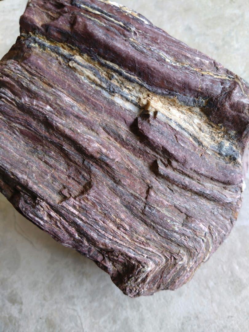 表情がいいね、石ころ♪㉓　石　石ころ　天然石　自然石　水石　鑑賞石　珪化木